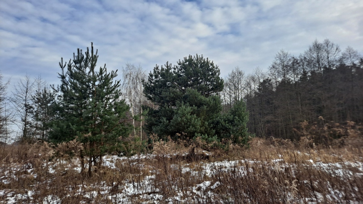 0da0cdc8-b6cd-450d-93ab-190c16c330cb