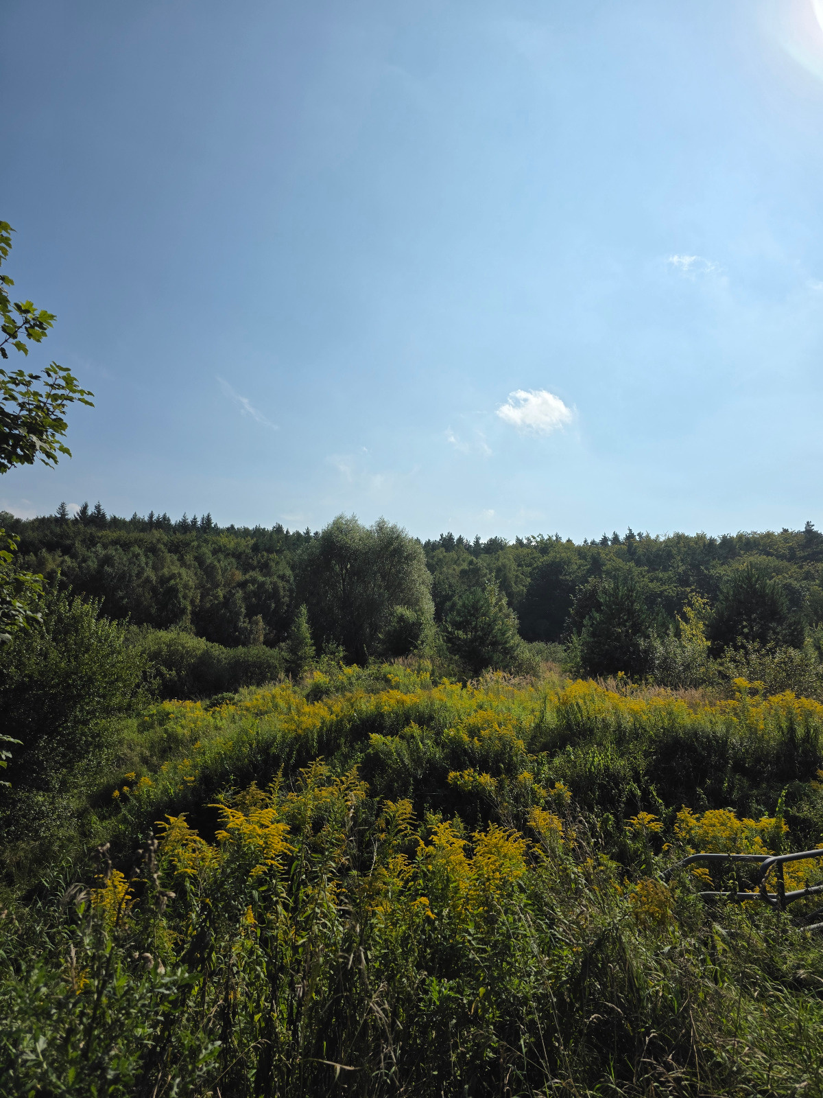 6984669c-ed43-4362-9e8a-7659348dccaa