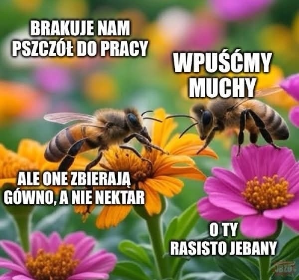 5c609909-1253-4f8b-83c2-e58f5e7161c2
