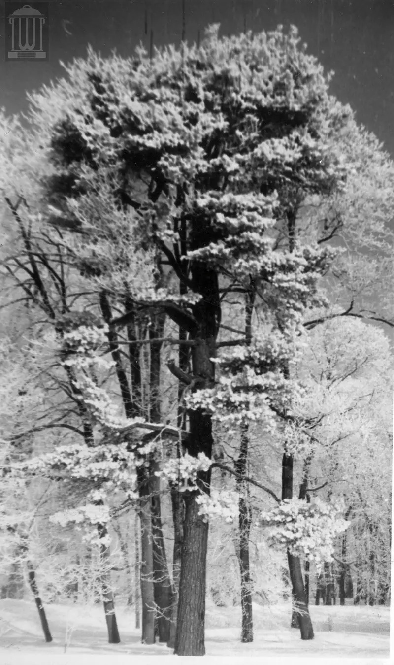 3bc8c472-d4a4-45a5-83a9-cb468e615f96