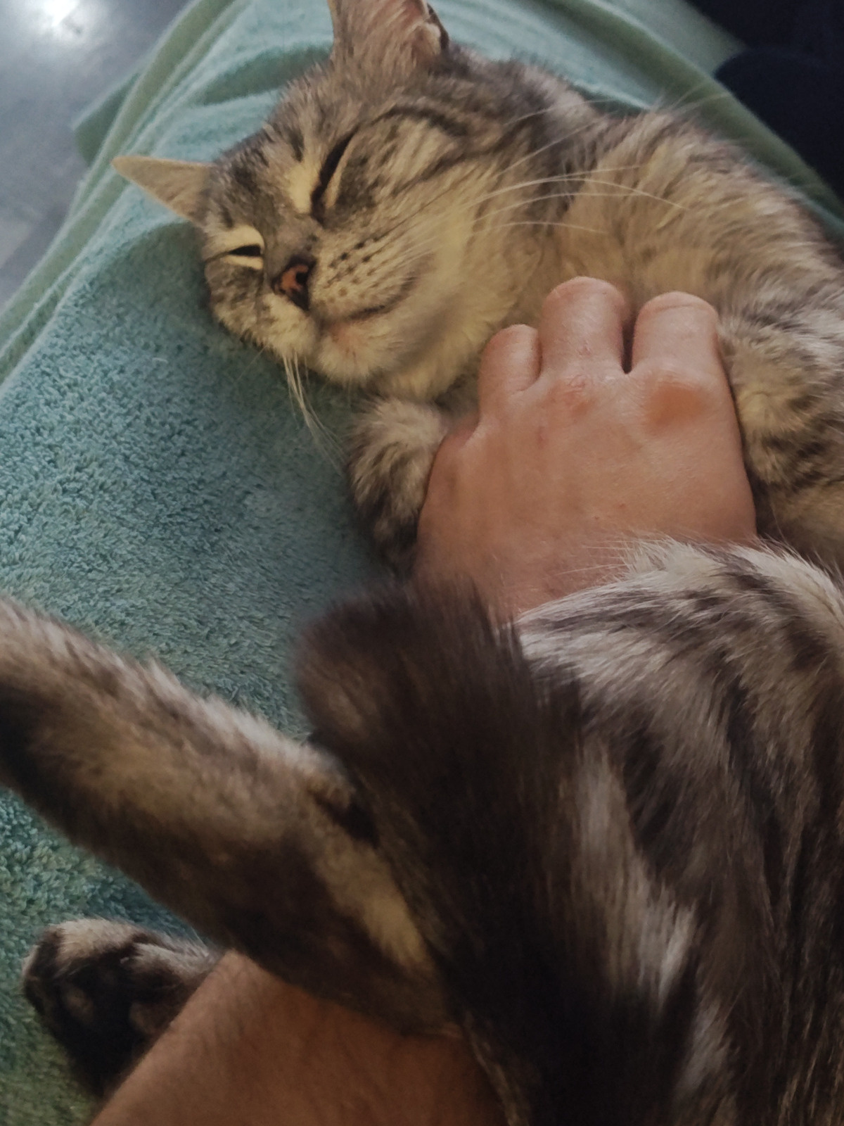 8b7bfa3a-6a05-4ce1-9a20-0a98ff465e3c