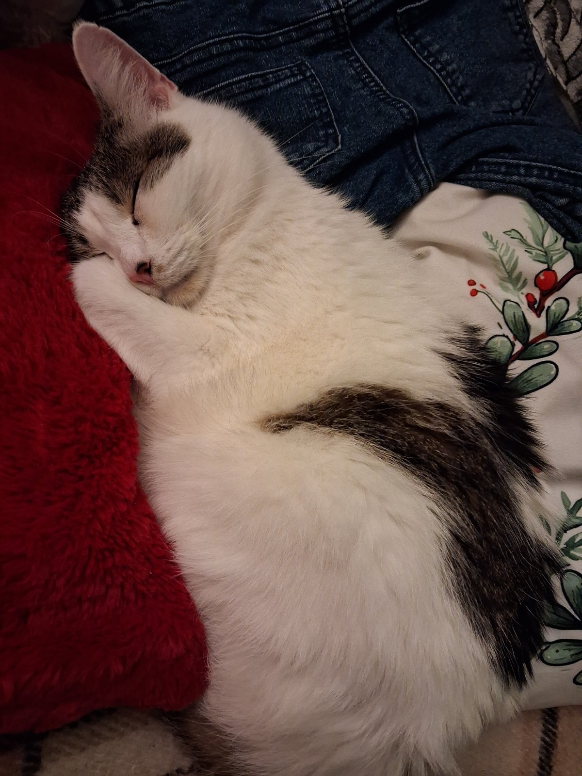 9f81c2e0-e5cf-49d7-86e8-17476a8b8661