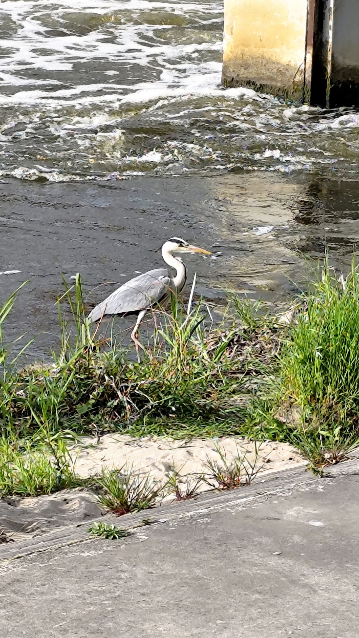 d9526980-dc99-40c3-b119-46ce5ab31c4a