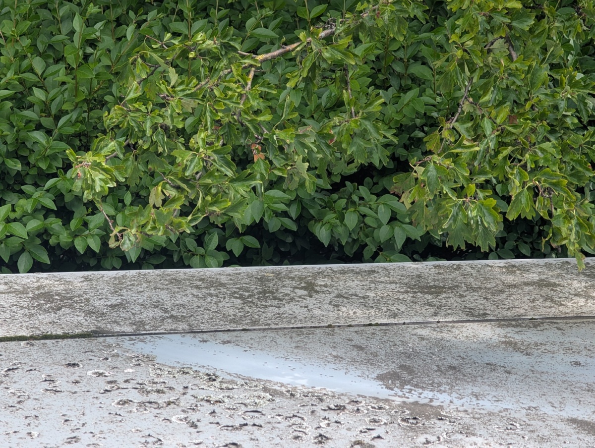 ff3e904e-4b7a-437d-b2b1-bd81526c138c