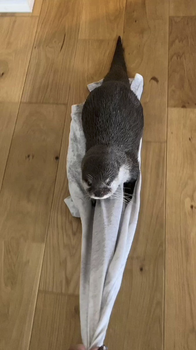 dadb1cbc-276b-4e42-86d7-dab461262abe