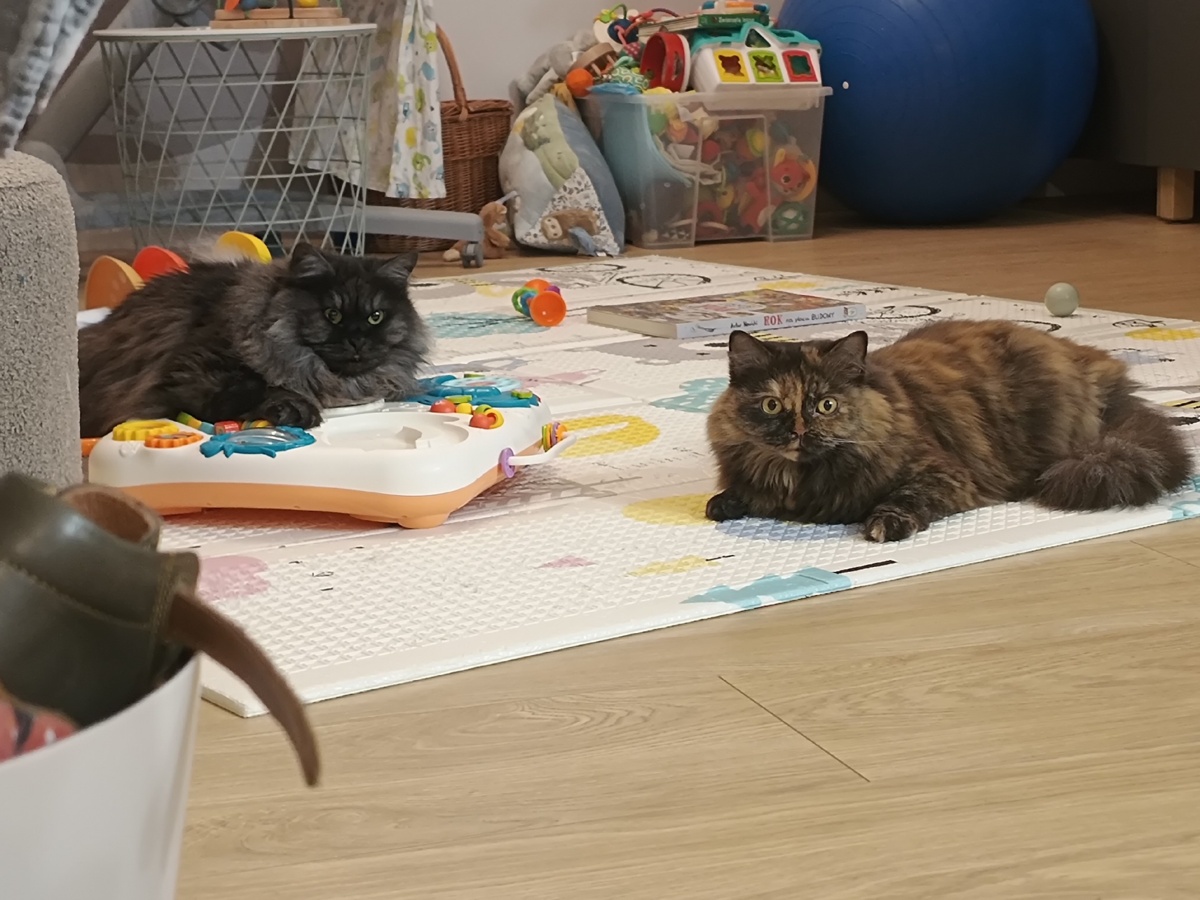 7bae8936-231b-4ca7-be66-1bed43b9f3fe