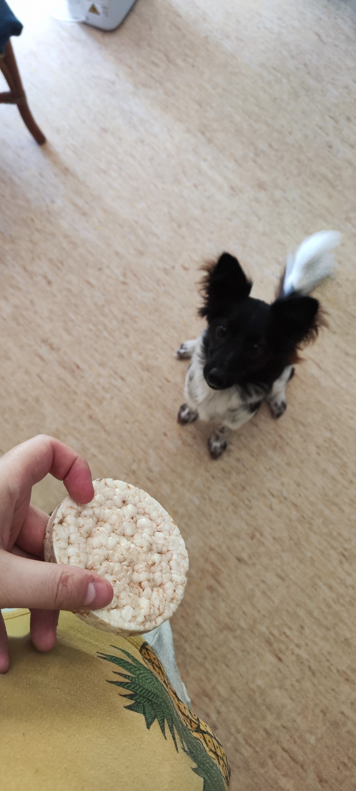 6bd6c9b9-73e8-4999-bd43-ca85a475fdbb