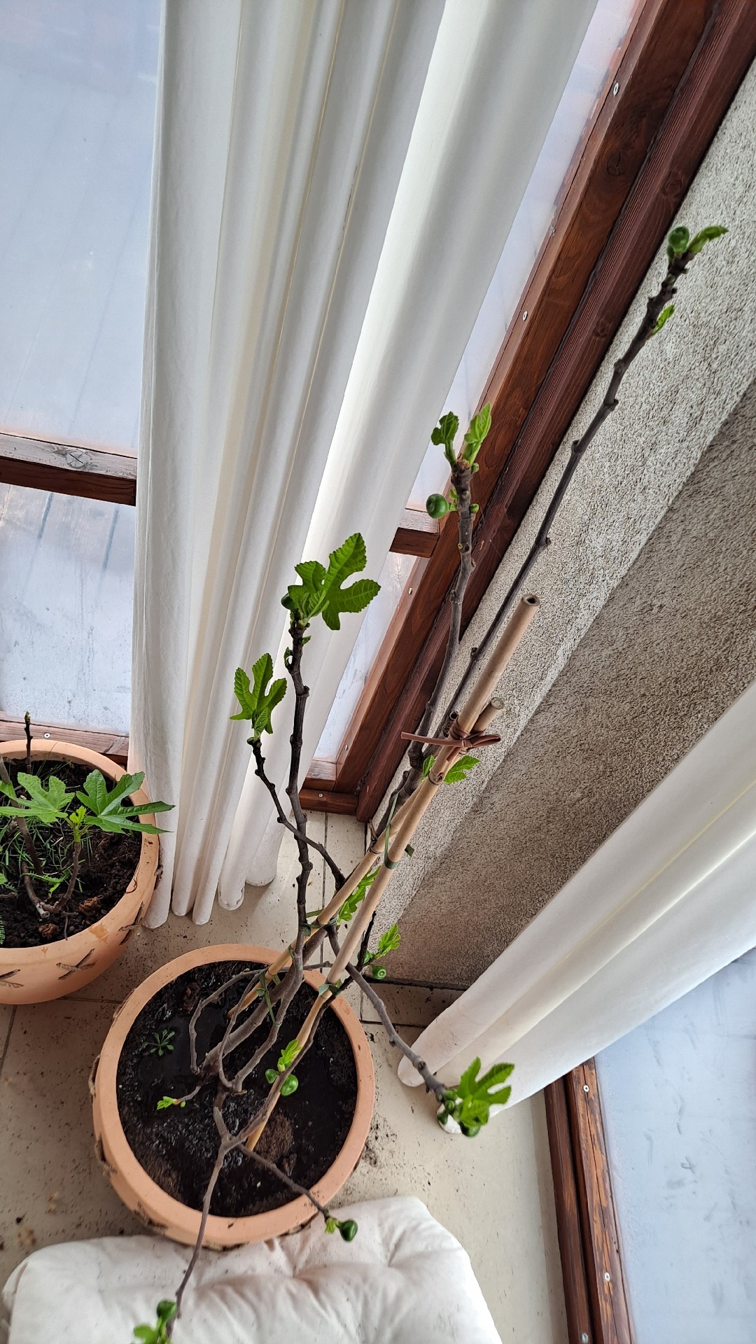 38fd3c0c-71c4-41f5-8e52-2394a736041b