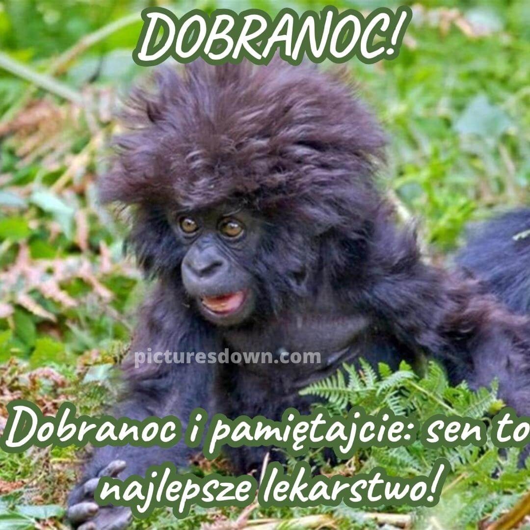 fd673c8a-a6ed-4000-88ae-0420403ba811