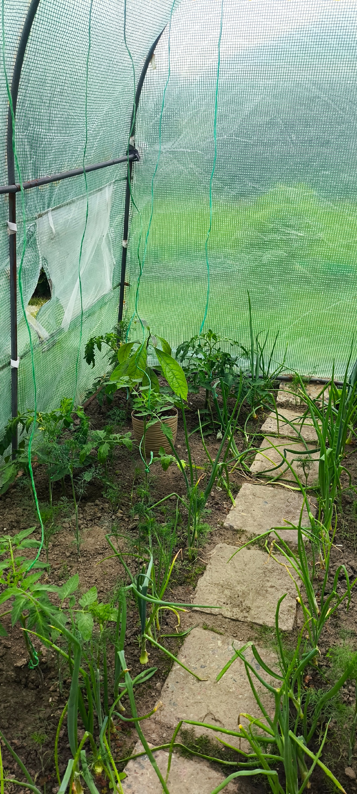 93a1acb2-7f29-4040-a32d-860b0a677216