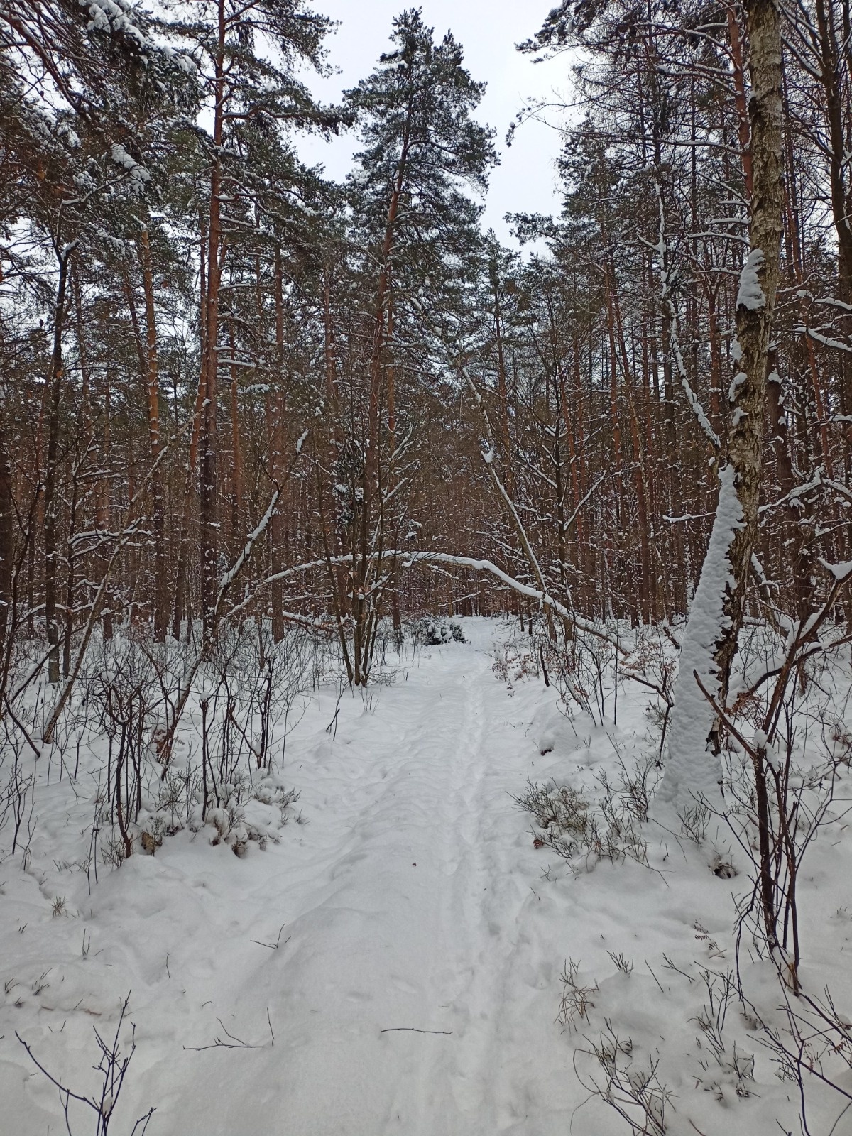 28c25ab5-0f6b-422c-8516-93fca9762775