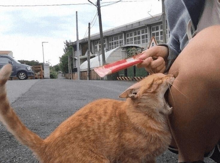 9780a61a-9c3c-49fd-847f-d33c1f3dfb51