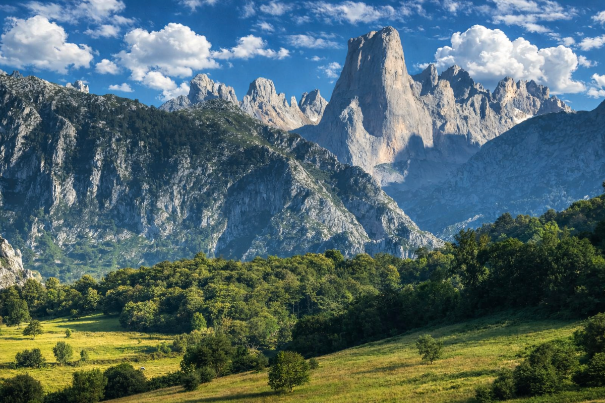 779c1305-faa5-4d8b-8b53-38b07719e28f