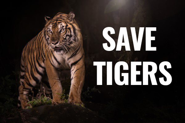 29115774-39ed-4230-ba87-ed544a08cea4