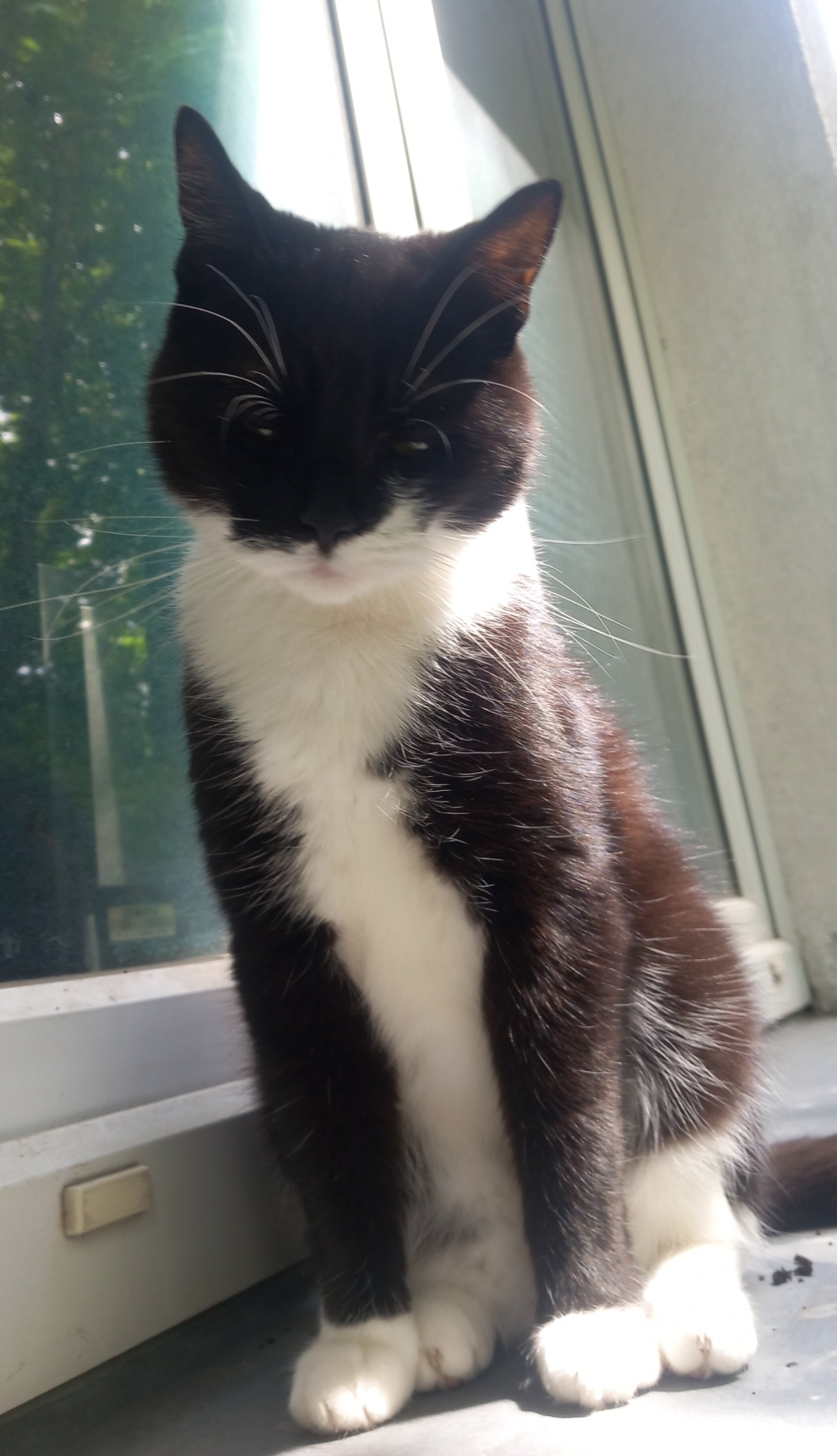 adcfc86a-08d0-4213-ac4c-7805054fc5f2