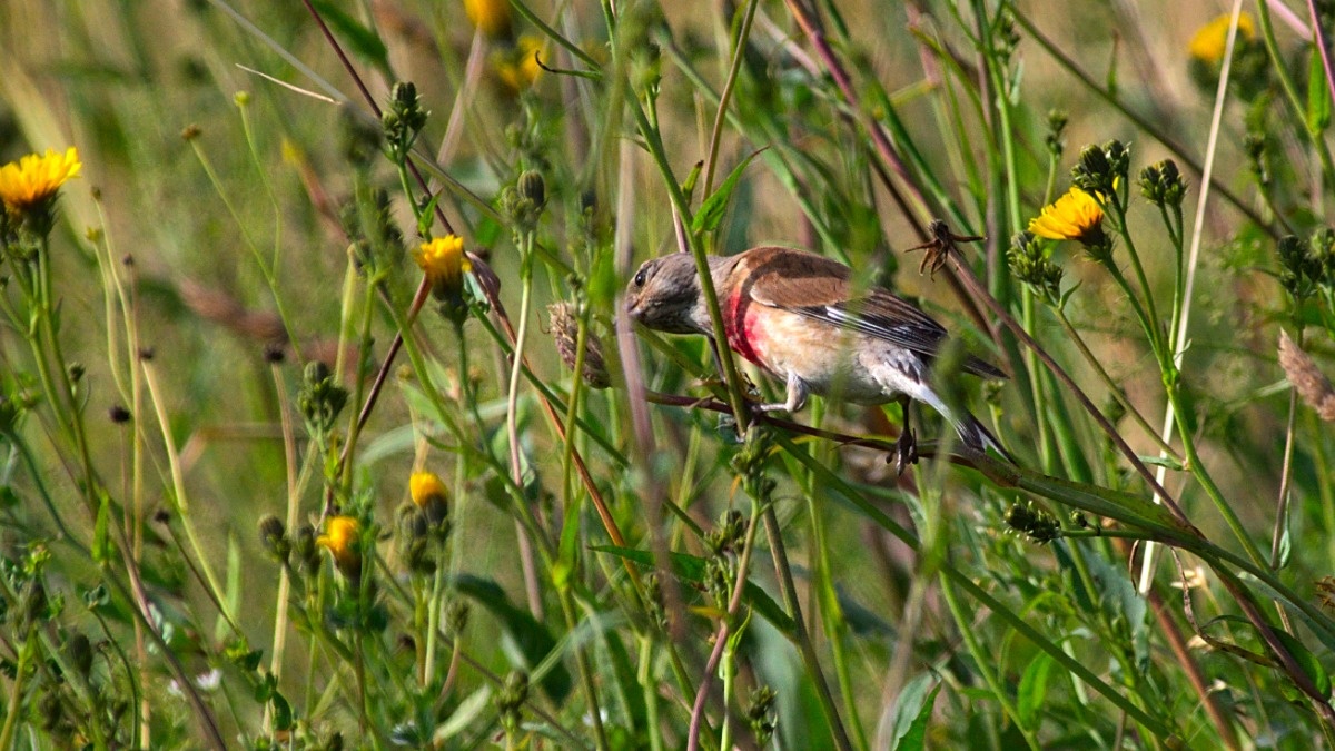 bef7ed7d-cb5b-47ff-86b0-c82462dabe0f