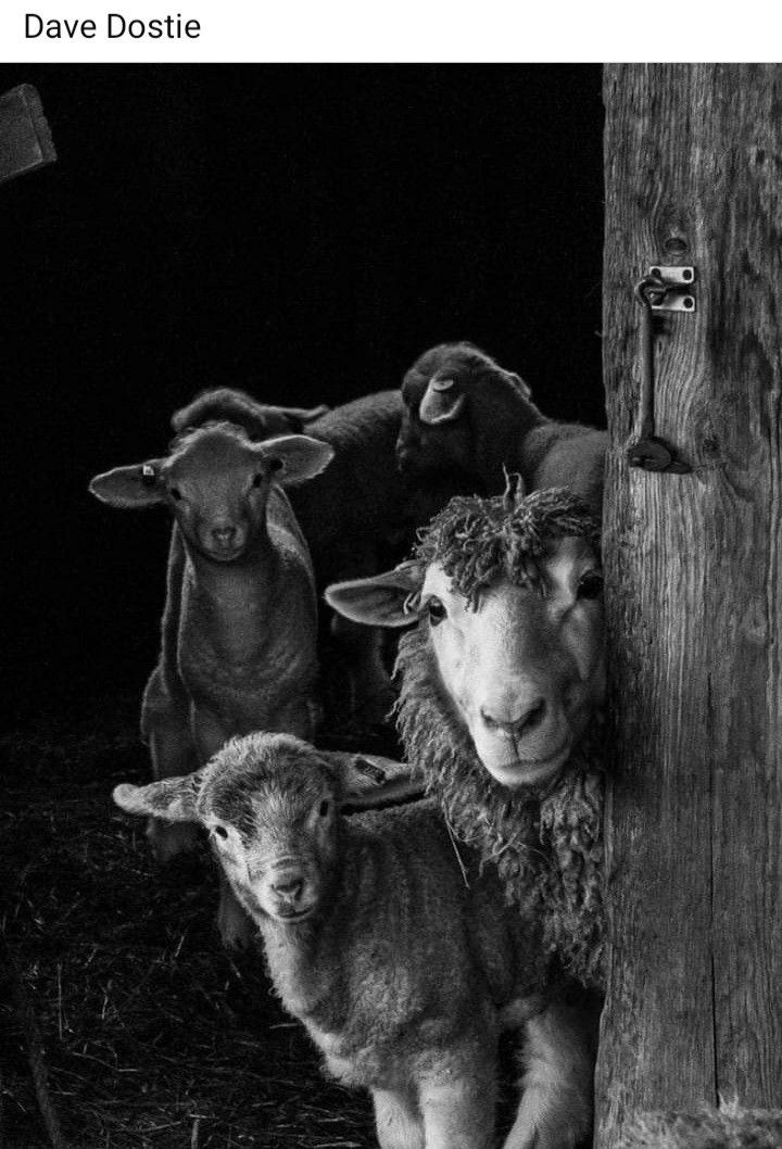 db8e6d9d-b4da-4428-994f-789f7e1a704e