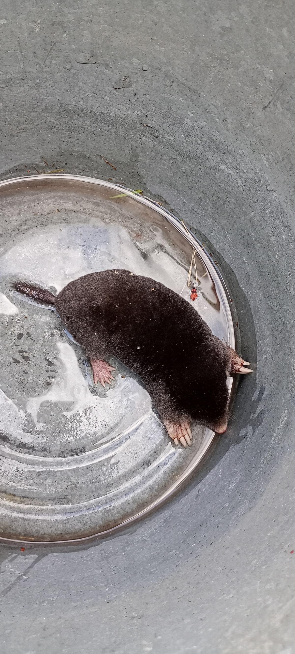 ceb5096e-129e-437b-b31e-c7f294433053