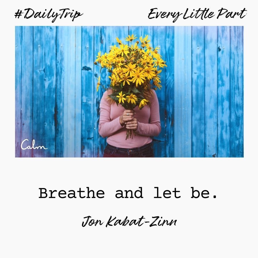 e595307c-d1c0-4690-ad33-6cfb5fa18728