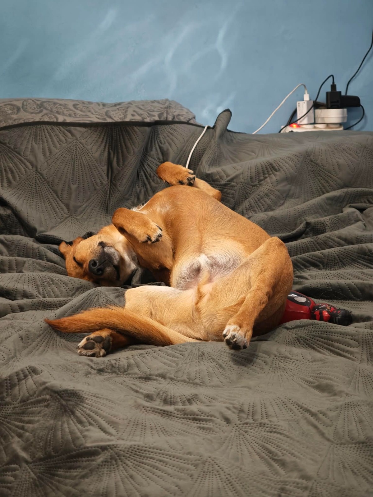 380be59b-2274-4c6c-b6d2-d52f38aa8d23