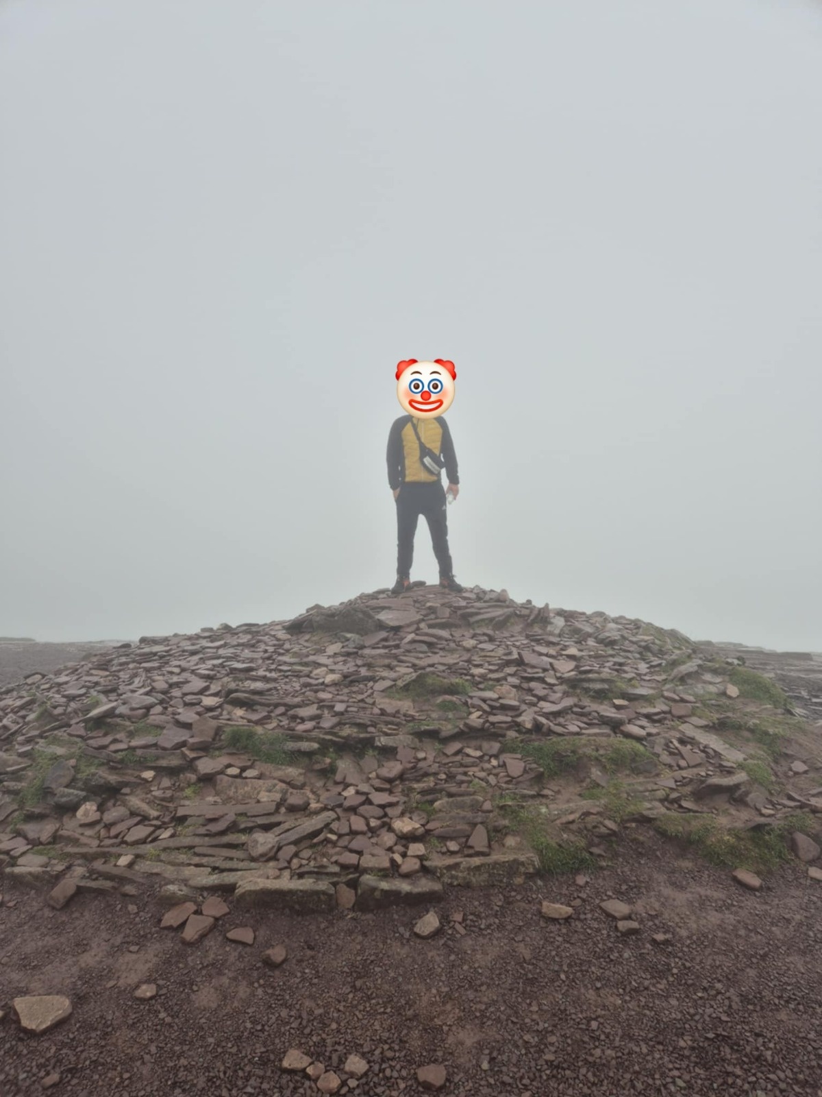 2a5286dc-7554-4b99-ac44-85ed11f83ff4