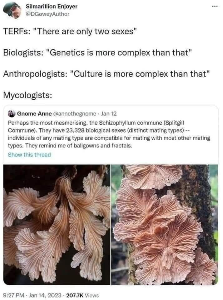 eb5f68b7-5fd3-4b6b-bee8-7b97d9d7b9f5