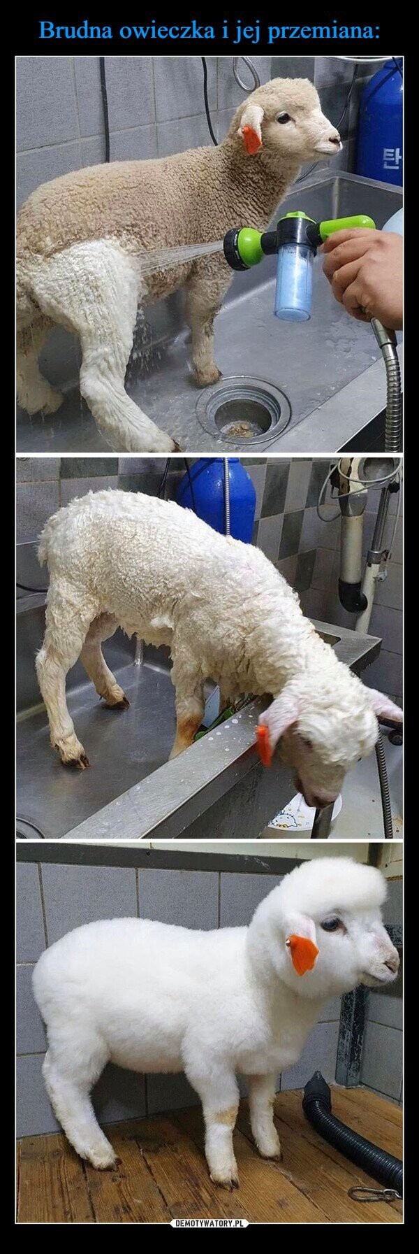 dc236274-8aad-431a-9755-fbf9c6090ea6