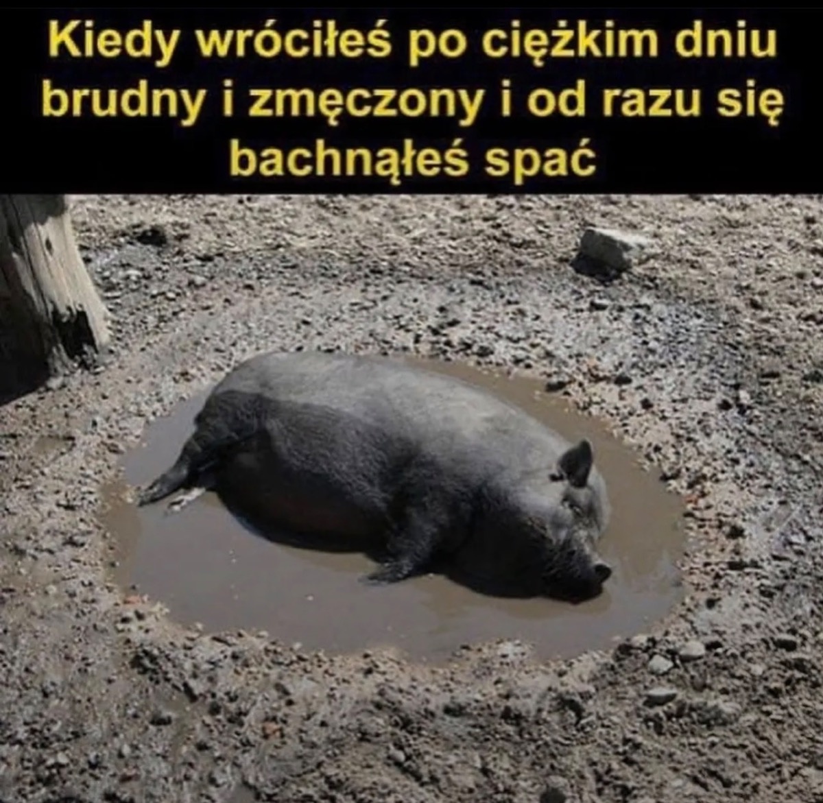 ce9a1b7e-d359-48fe-bfc7-8b450fdcba01