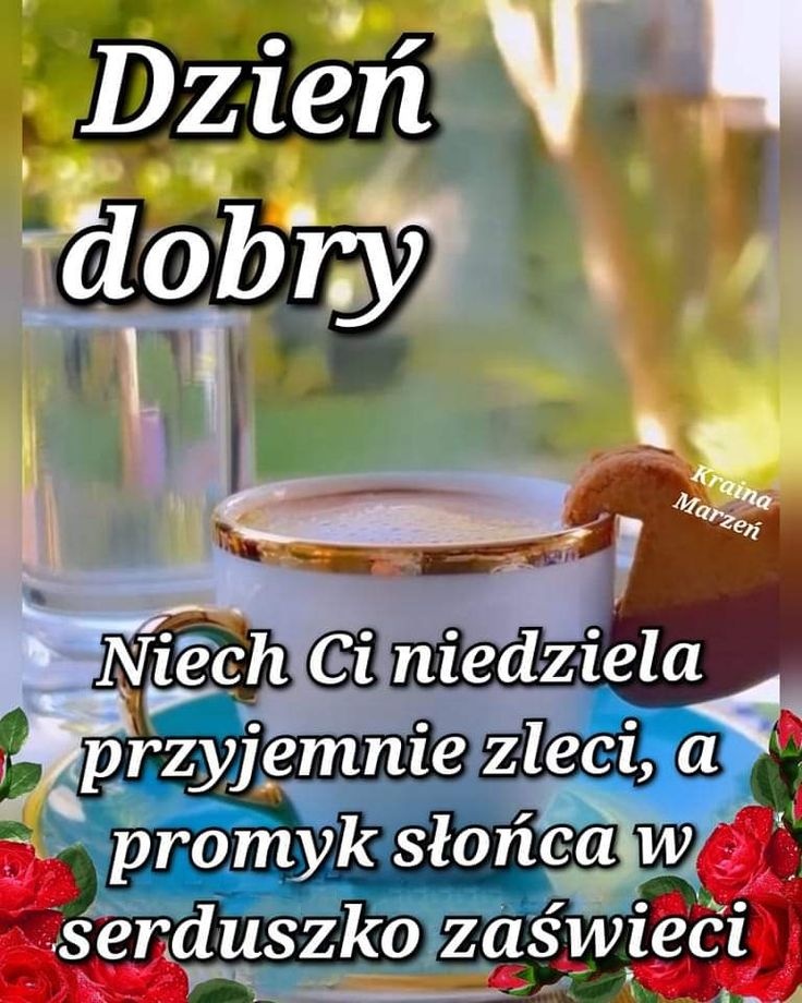 b6a232f3-048e-4a52-bf5c-bc03549102cb