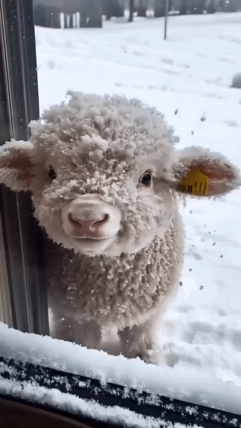 d3591d16-b8c3-4aa3-bbbb-18a782b92f4a