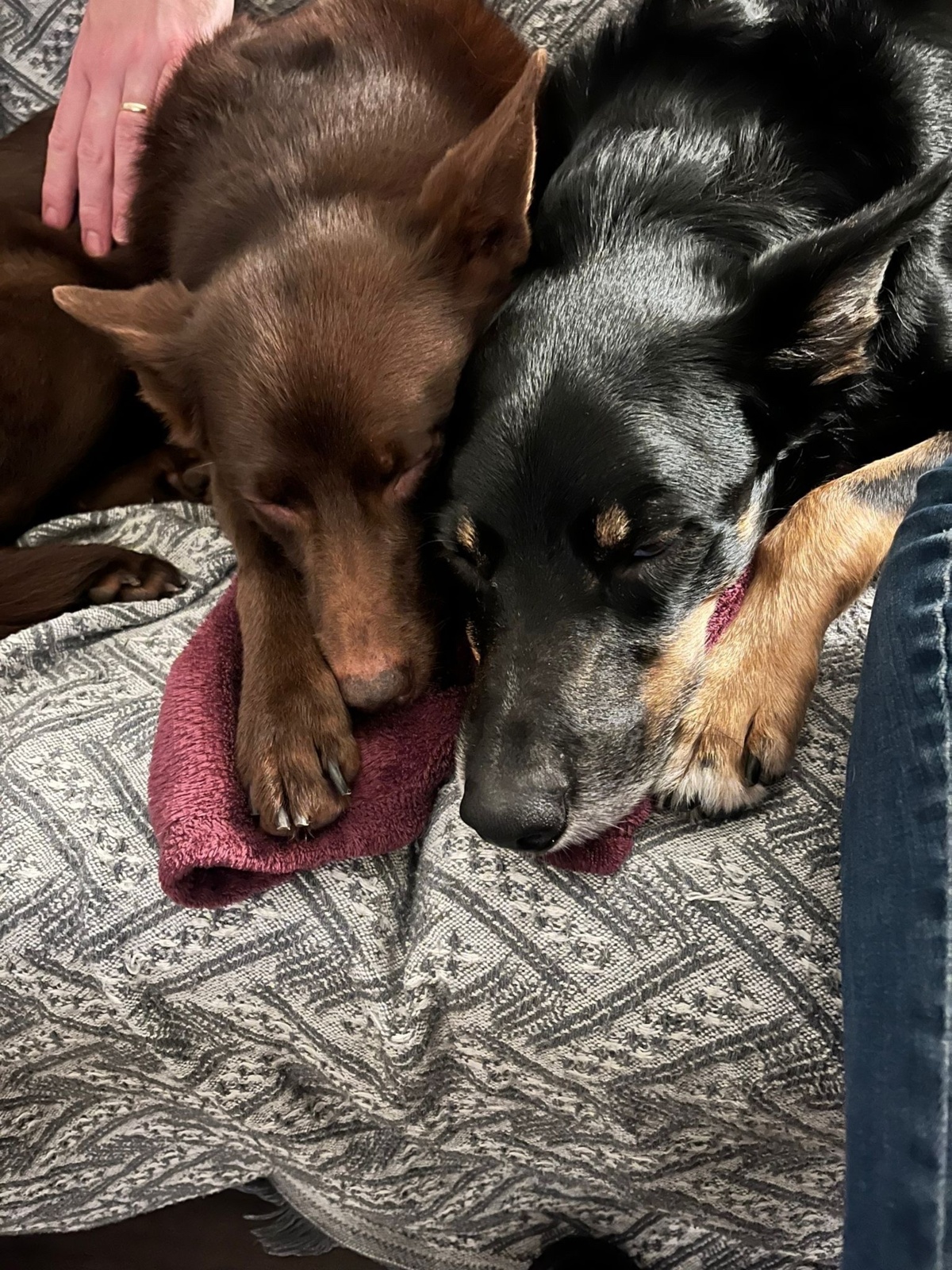 6d652754-07db-4e5f-85e4-205192f960d9