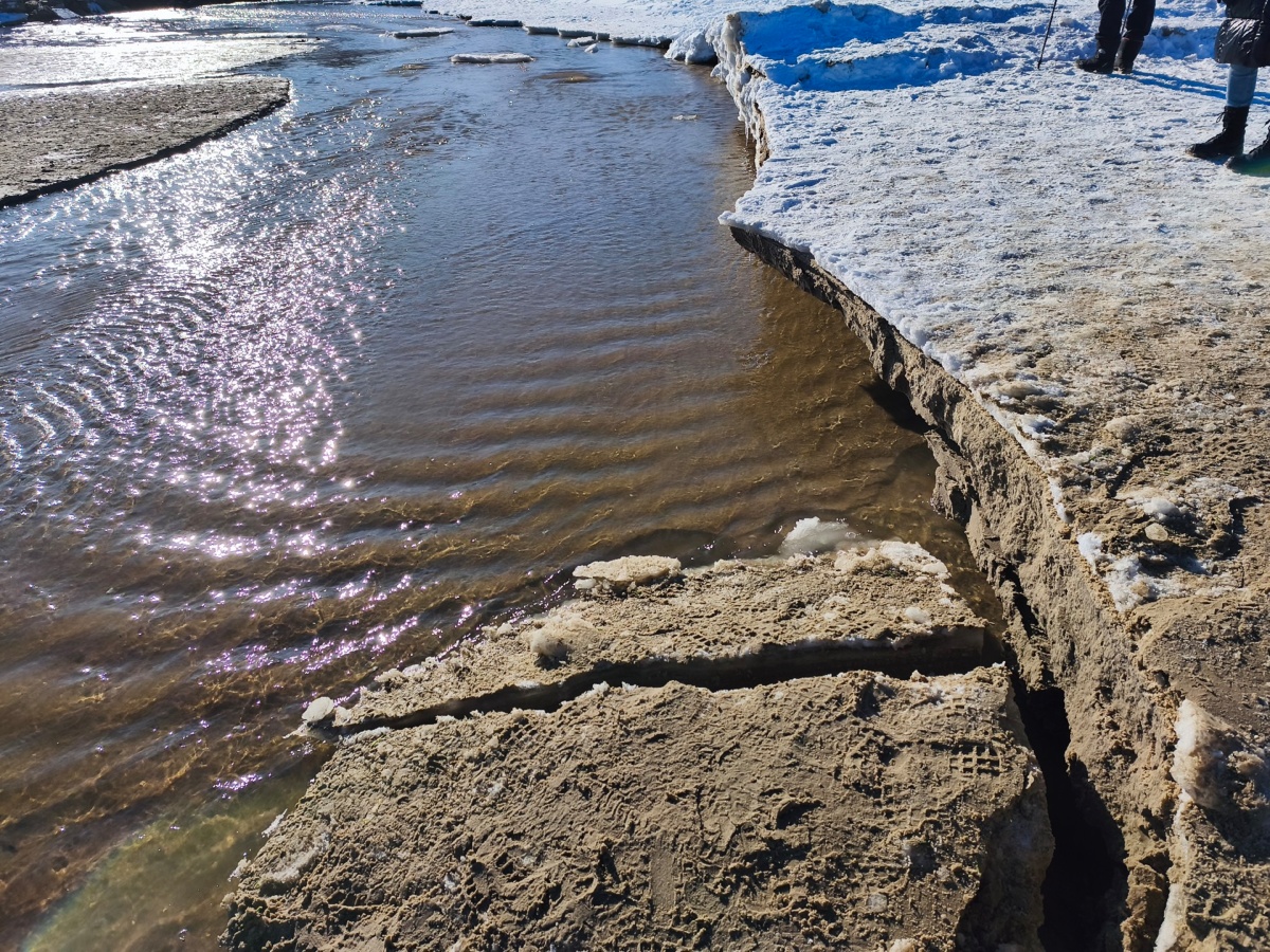 0ab79041-33dd-4cb3-9849-a04046cce853