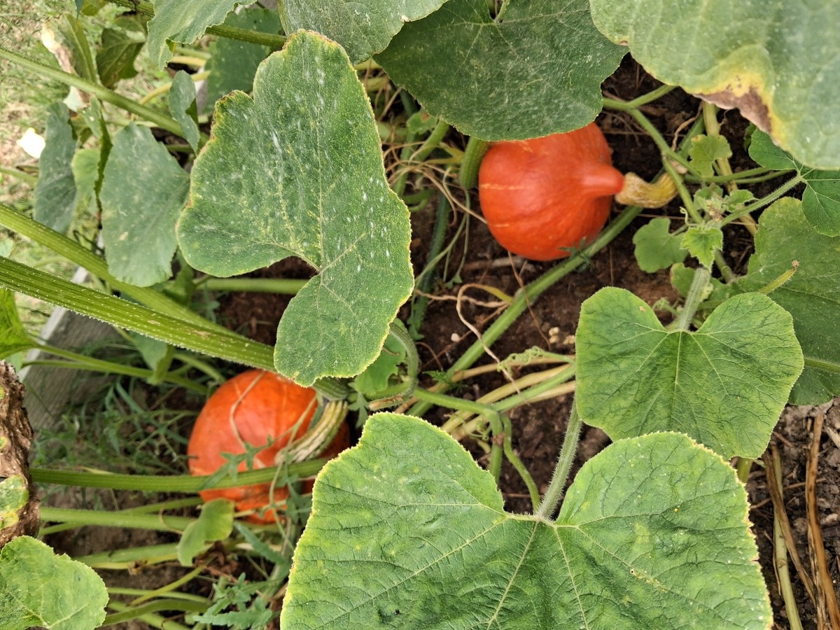 35cd8341-3b95-4870-94fb-9ff60c358b92