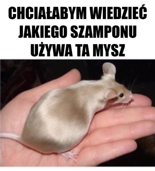 fb85b2c1-e387-4569-9c5d-6583b8cf7a72