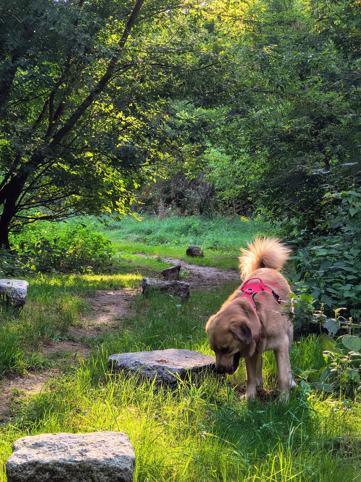 5e6fd2c3-4728-4c04-bced-40cdc69c365c