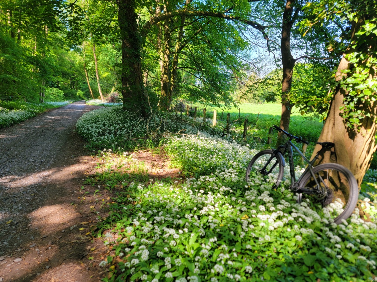 a55250a2-440d-4a0d-ba3d-750787a61842