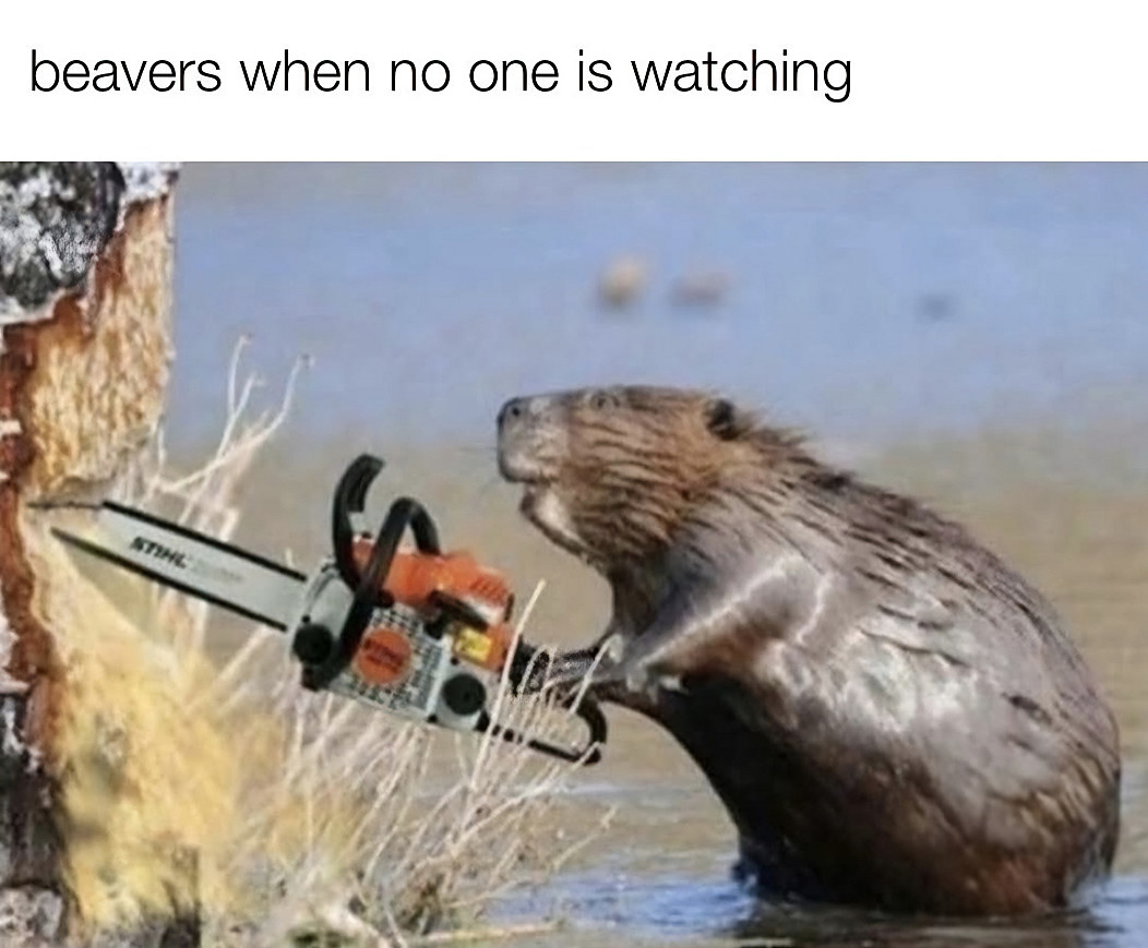 1c97692a-7ccf-4e1c-a773-4f036410127f