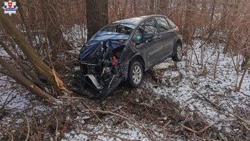 Lubelskie. Nietrzeźwa 42-latka wjechała do rowu. Wiozła troje dzieci