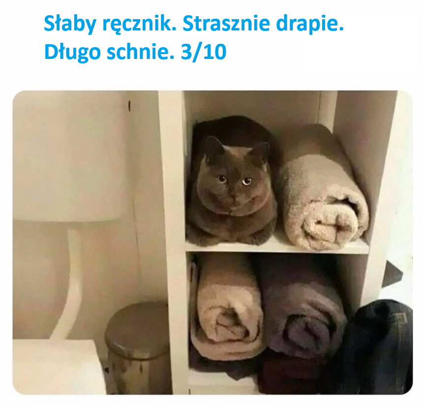 99fe3a73-233e-4da1-8333-2e200dc96e68