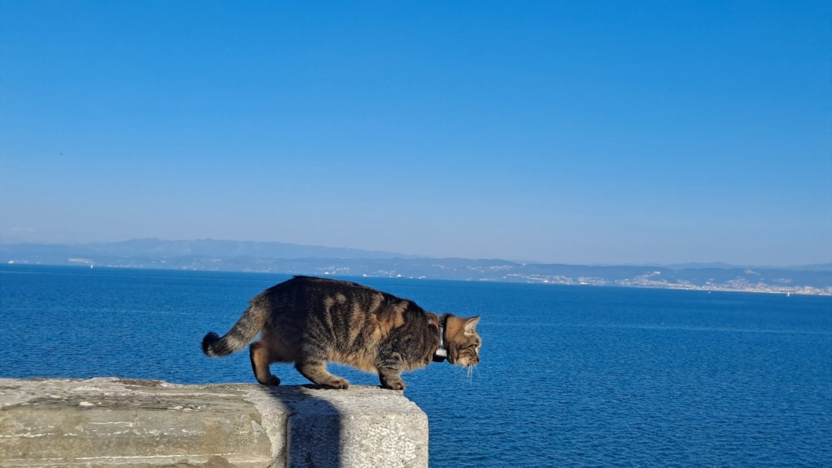 8a70b592-2c1a-461a-a389-ebb7db9448e0