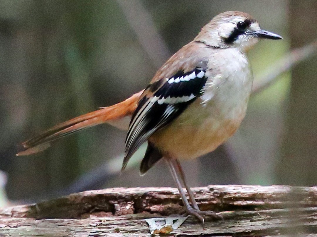 089eedda-4efc-40d0-8f2c-911e373d4bfa