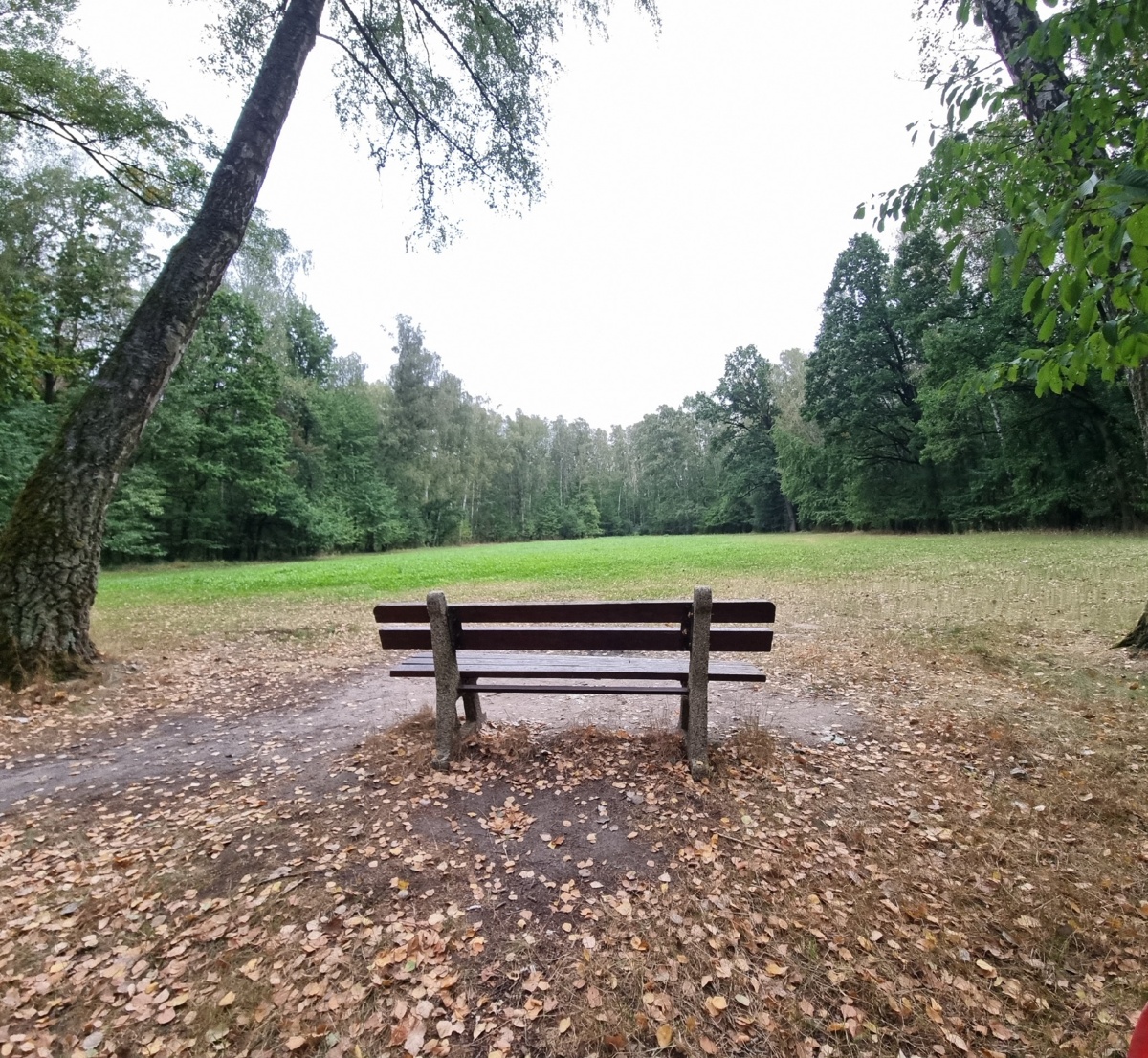 0ad919d7-780f-4909-a2ce-fa411ad06402