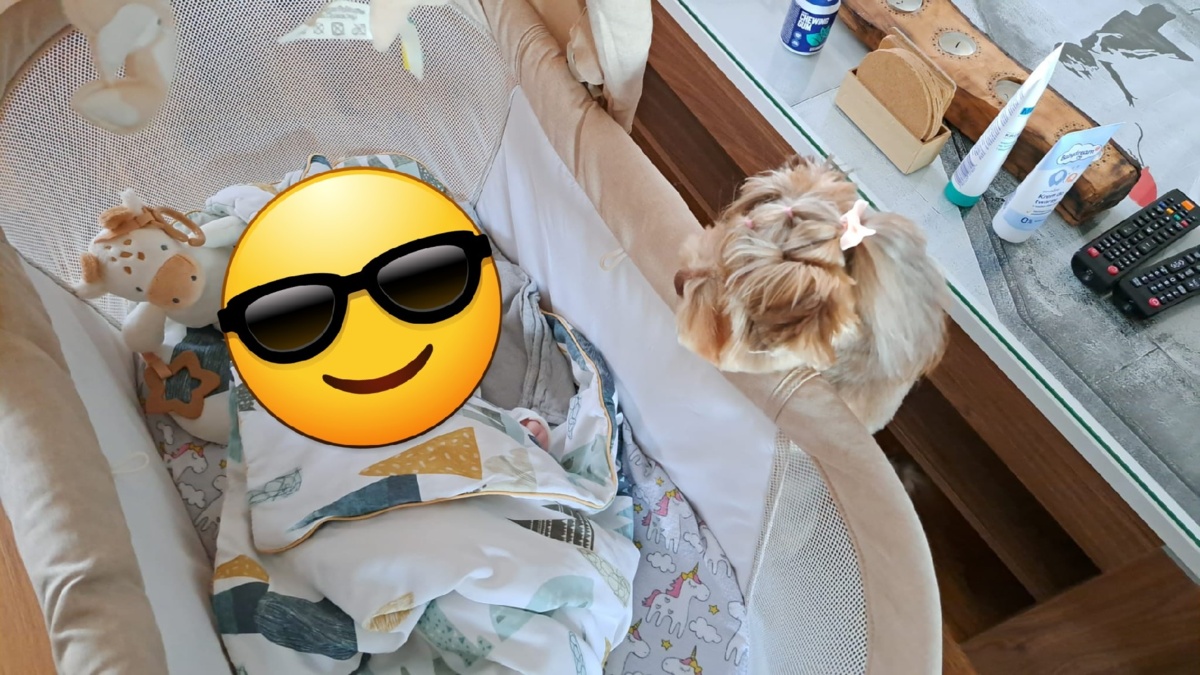 baabf016-eee6-4067-a92d-47a5e73c358b