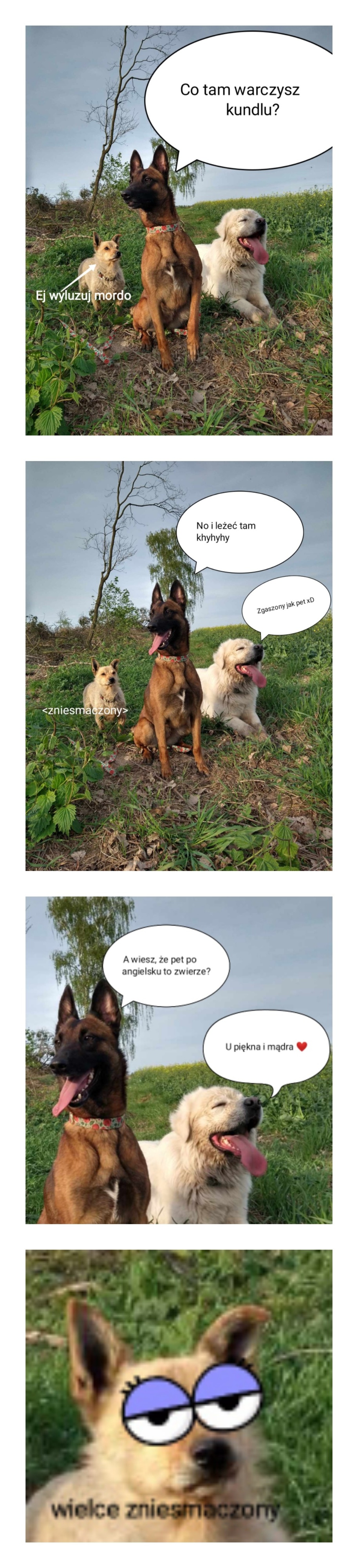 7529b6cf-f889-4088-80f1-ca8aa170537b