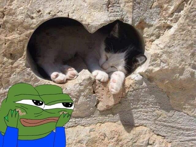 437c2ba2-fe3d-4835-afb0-3f235fe90291