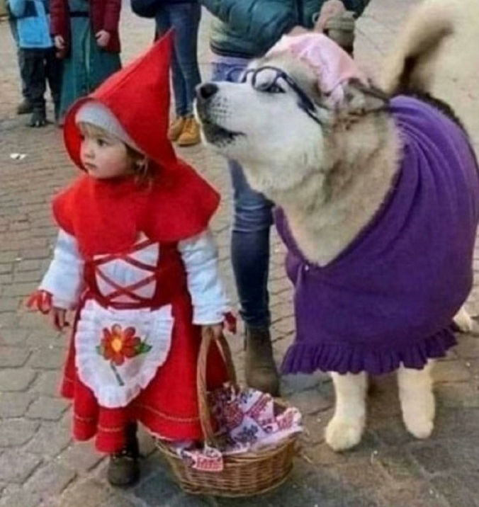 0589c371-2a81-46a2-b5a5-0a7c8d2c0f73