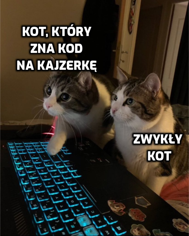 87808295-eb61-4e95-b411-37704be59591