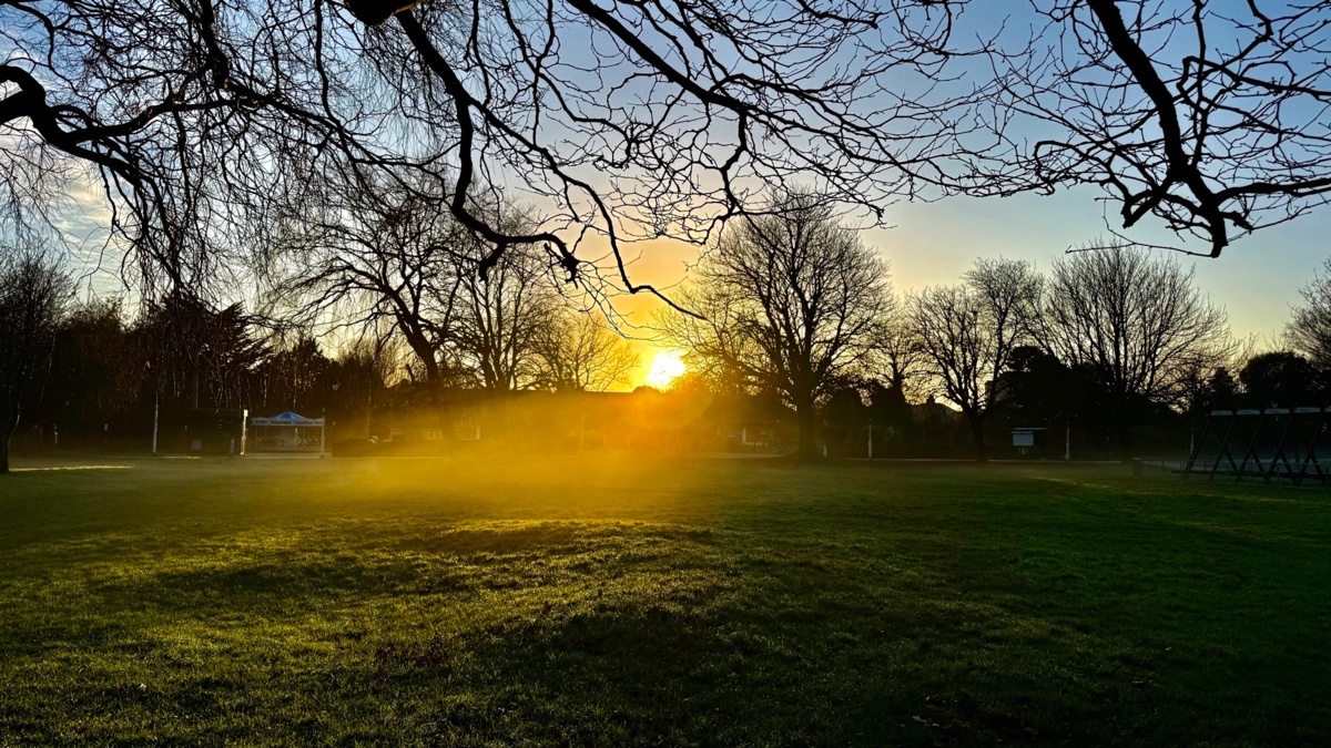 f8fde2df-0afa-4eeb-a2a5-6d23919ca5fd