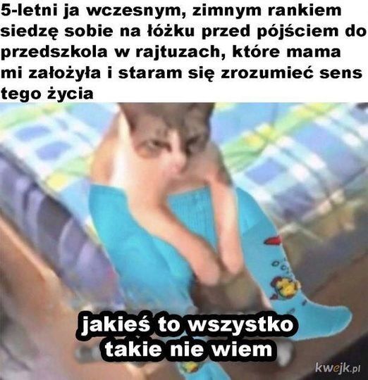 1e79dd9e-1140-474d-b95f-cd8ff26b4466