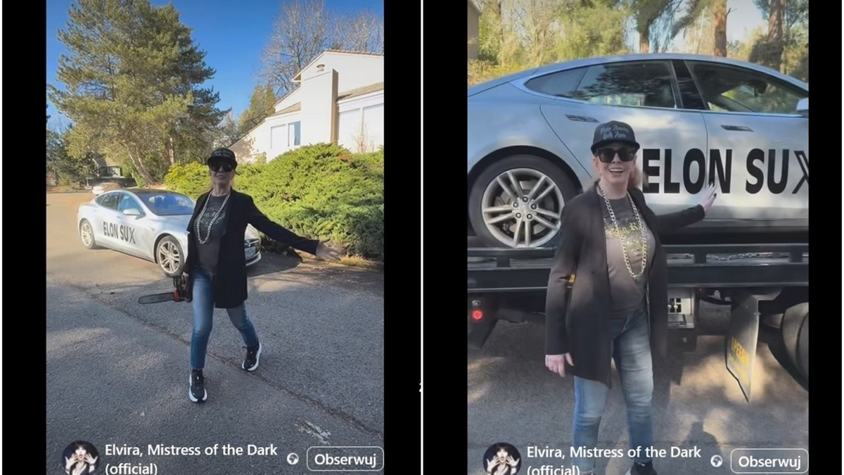 ELON SUX czyli amerykańscy celebryci oddają swoje Tesle za darmo.